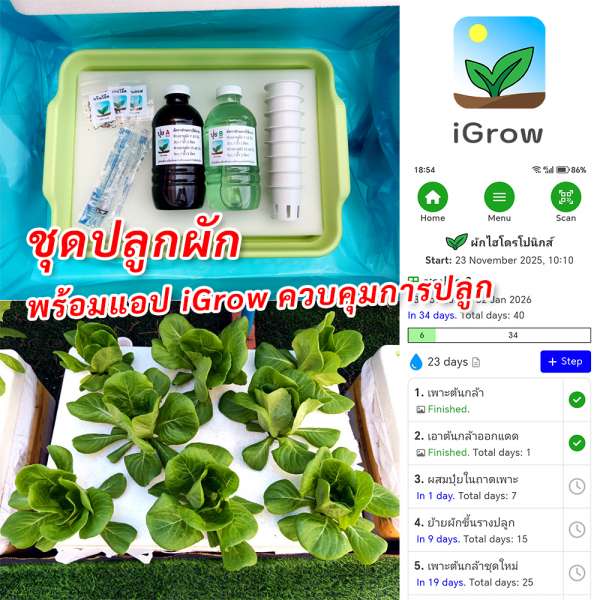 ชุดปลูกผักไฮโดรโปนิกส์เริ่มต้น product picture