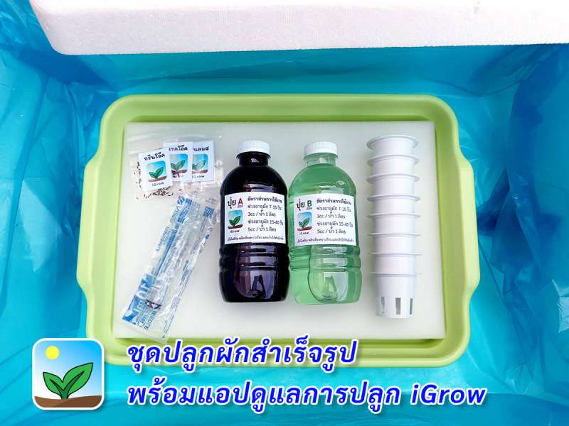 ชุดปลูกผักไฮโดรโปนิกส์เริ่มต้น product picture