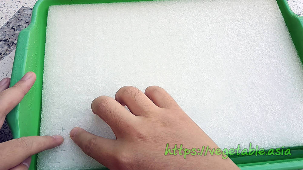 ฟองน้ำสำหรับปลูกผักไฮโดรโปนิกส์